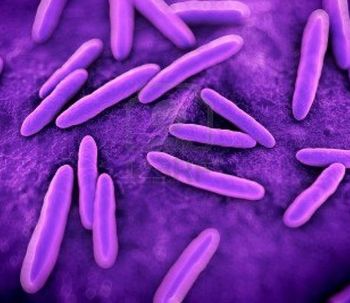 Descubren que una bacteria de la piel humana podría ser la causante de la rosácea